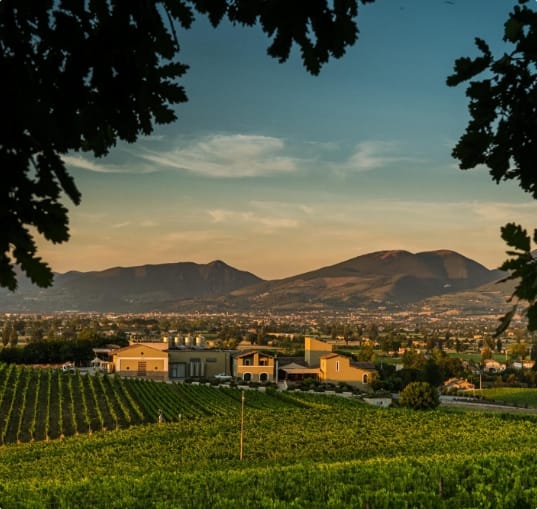 Cantina Arnaldo Caprai cantina con tramonto e montagne