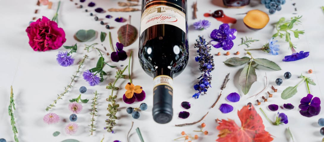 Cantina Arnaldo Caprai collaborazione bernulia donna