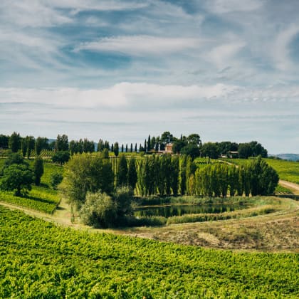 MONTEFALCO LAND