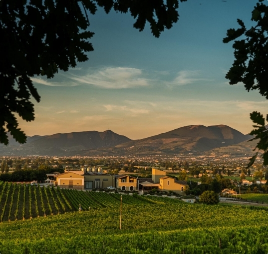 Cantina Arnaldo Caprai panorama primavera