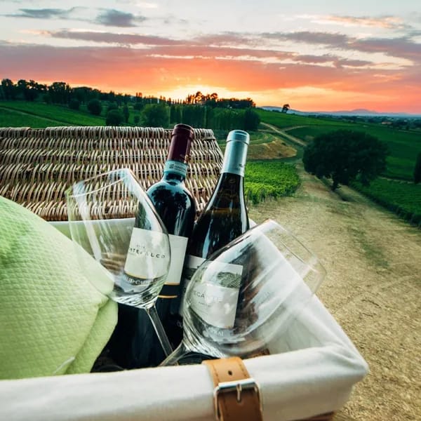 Cantina Arnaldo Caprai grappolo tronco