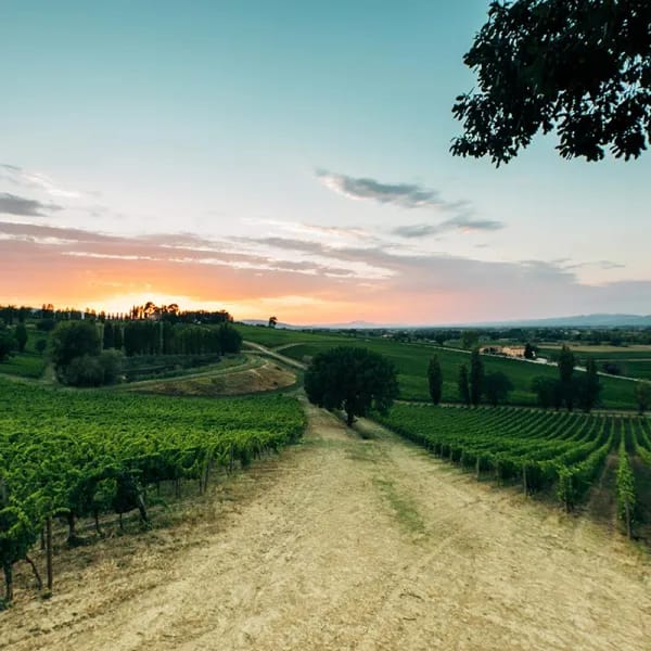 Cantina Arnaldo Caprai affreschi Montefalco