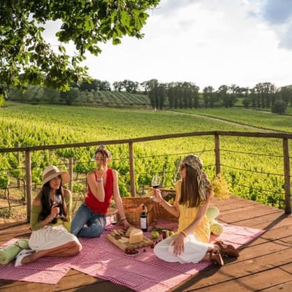 PIC NIC IN THE VINEYARD