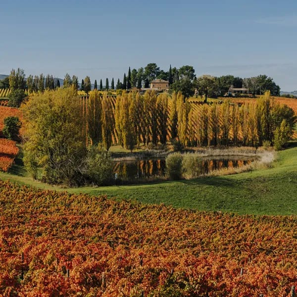 Cantina Arnaldo Caprai affreschi Montefalco