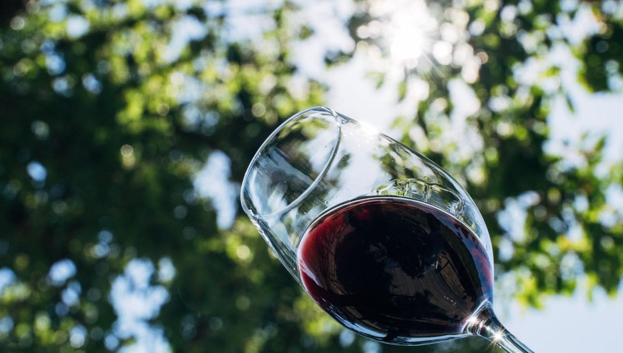 Cantina Arnaldo Caprai uva appassita sagrantino