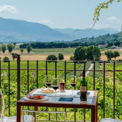 SHADES OF MONTEFALCO