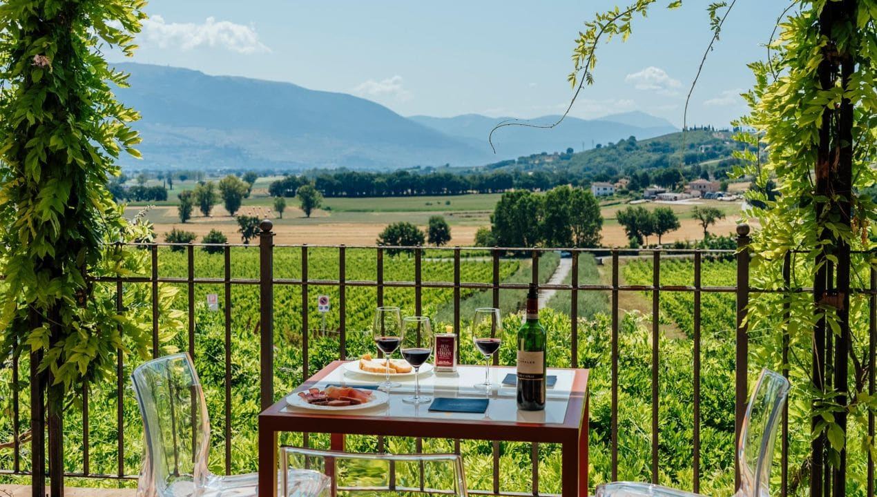 Cantina Arnaldo Caprai uva appassita sagrantino