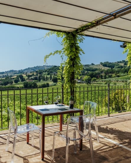Cantina Arnaldo Caprai terrazza aperitivo