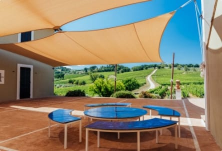 Cantina Arnaldo Caprai terrazza con sole