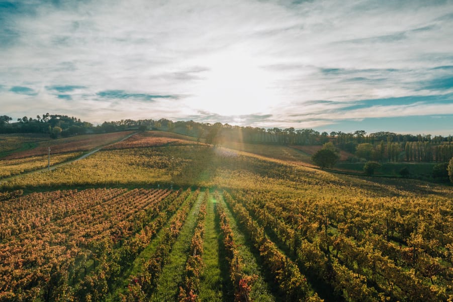 Cantina Arnaldo Caprai federico II