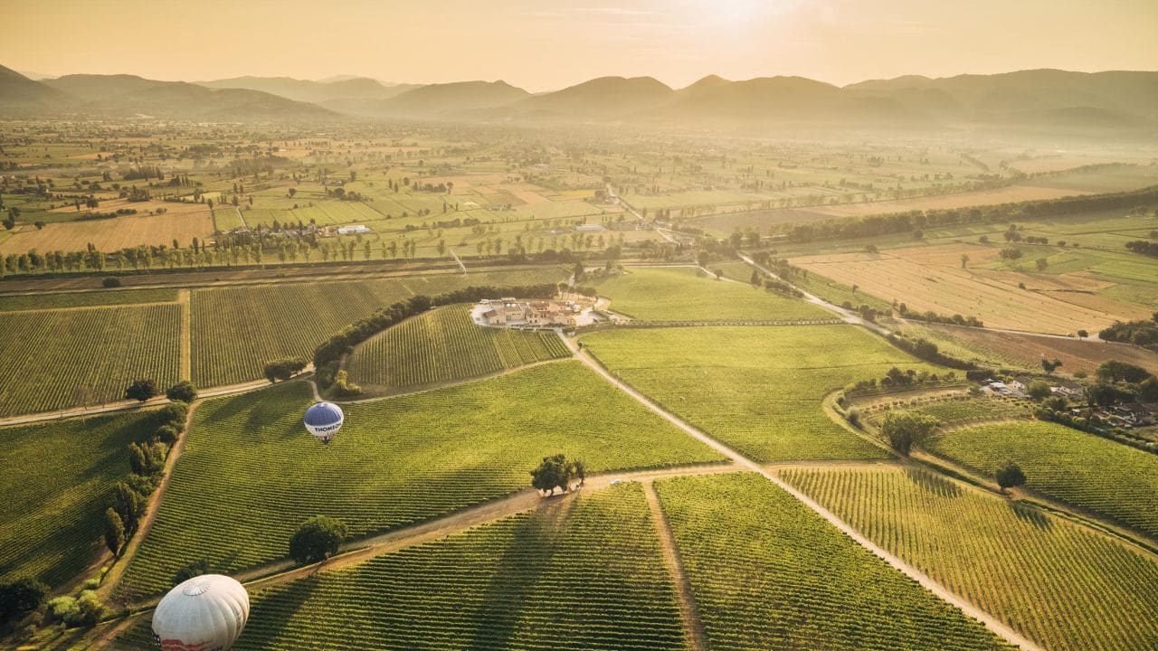 Cantina Arnaldo Caprai uva appassita sagrantino