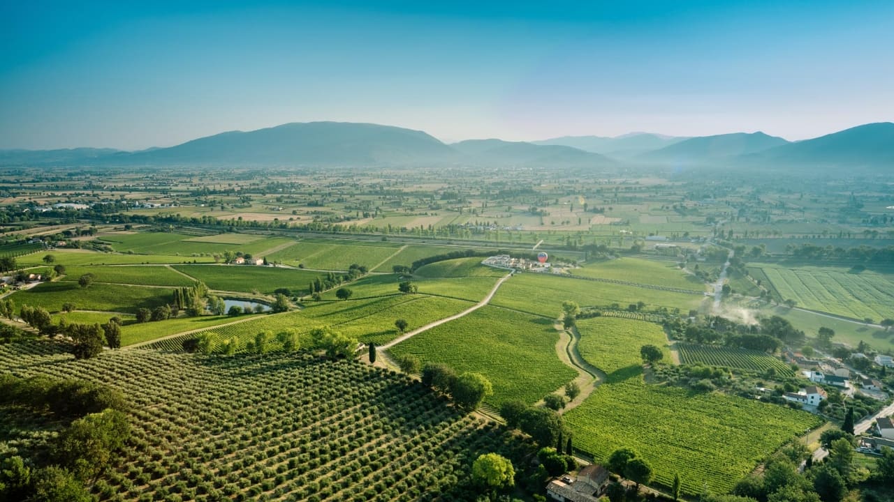 Cantina Arnaldo Caprai vista aerea territorio